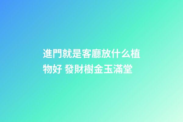 進門就是客廳放什么植物好 發財樹金玉滿堂